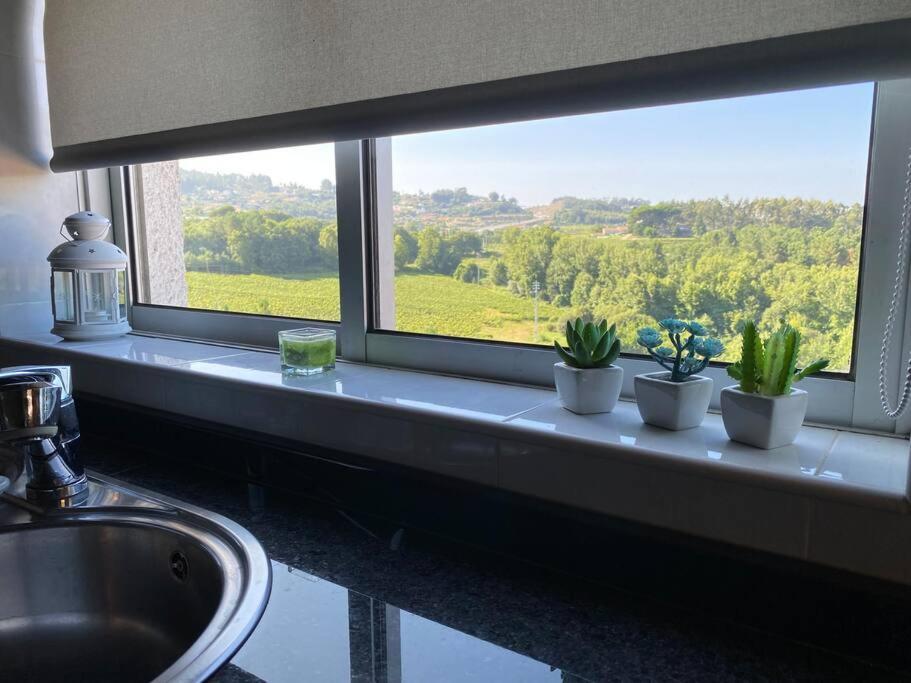 S. Mamede House - Penafiel Apartman Recezinhos Kültér fotó